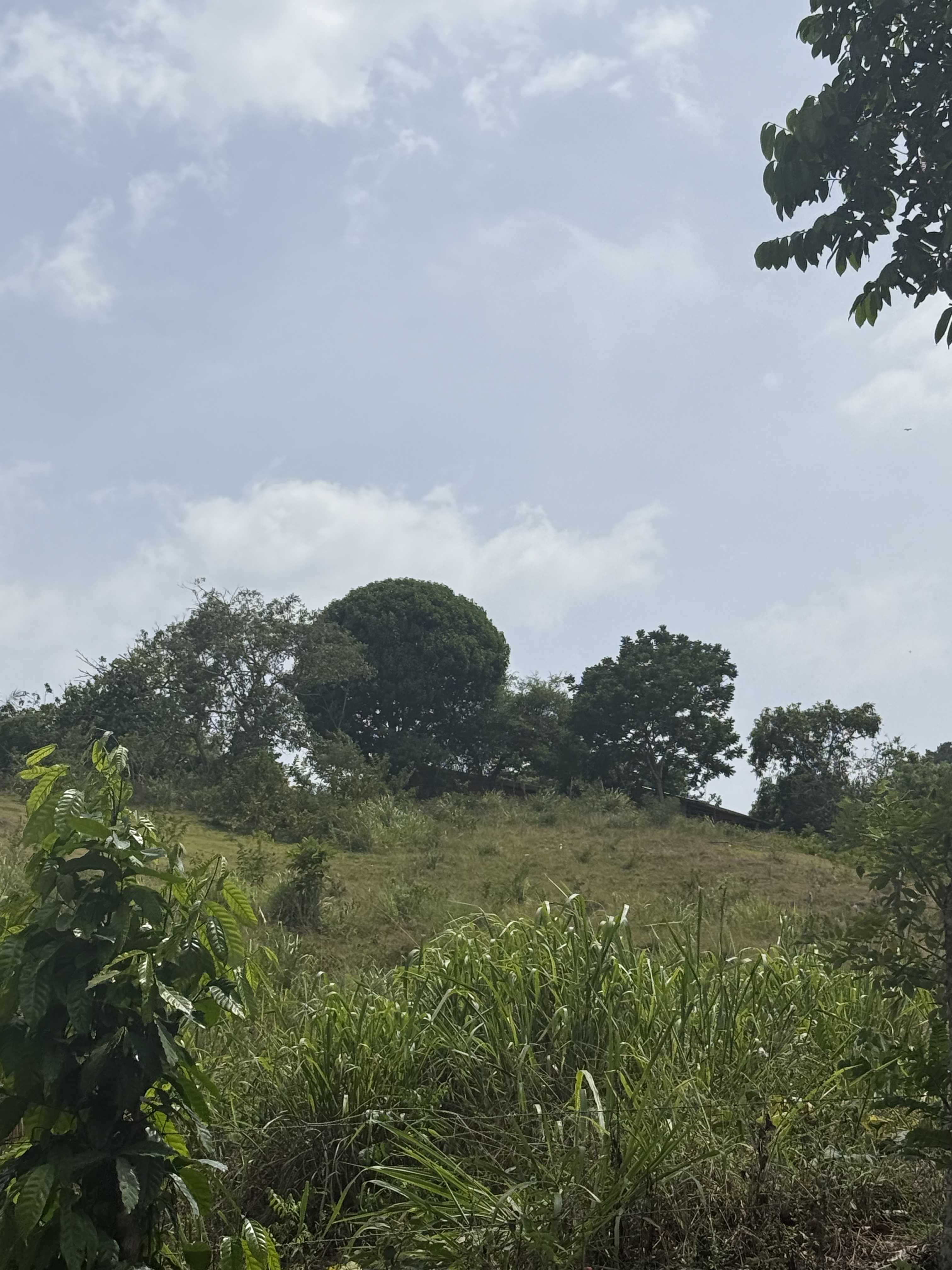 Titled land in Jarabacoa